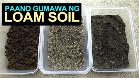 loam in tagalog|Loamy Soil in Tagalog.